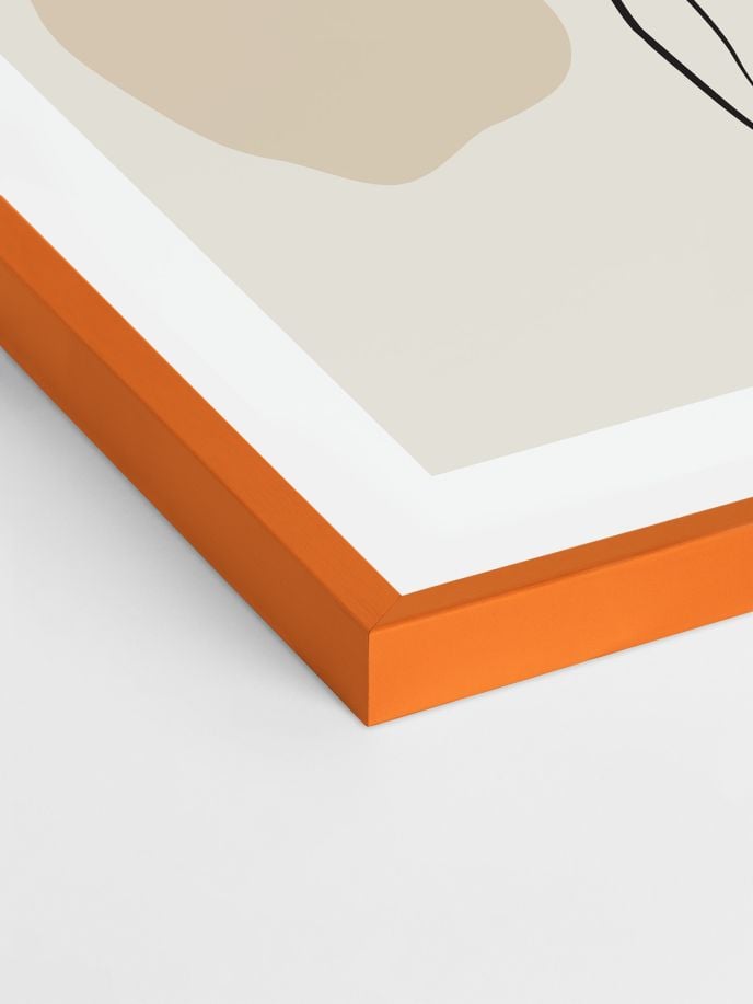 Nova Frame - Orange